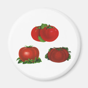 Aimant Tomates rouges mûres vintage Nourriture, Fruits, L