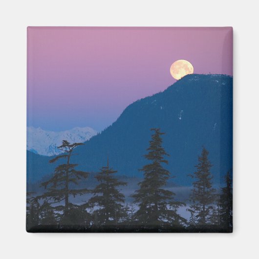 Aimant Tombe nocturne en Alaska (Devant)