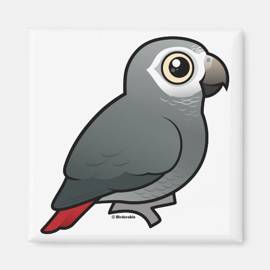 Aimant Tomneh African Grey Parrot (Devant)