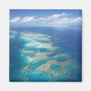 Aimant Tongue Reef, parc marin de la Grande Barrière de c