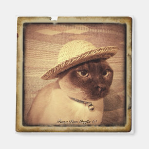 Aimant Tonkinese Gato