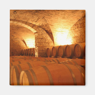 Aimant Tonneaux de Cave à Vin