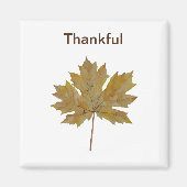 Aimant Tons feuille d'érable, brun et or (Devant)