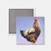 Aimant Top Roster (Recto/Verso)