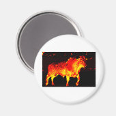 AIMANT TORO BRAVO (Recto/Verso)