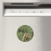 Aimant Torrey Pine Closeup California Botanical (In Situ (Lave-vaisselle))