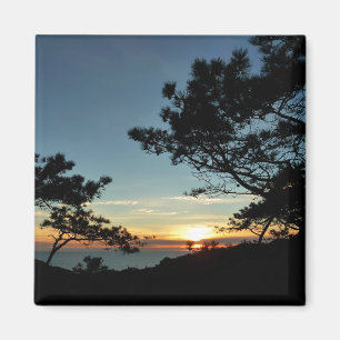 Aimant Torrey Pine Sunset III Paysage californien