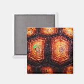 Aimant Tortois (Recto/Verso)