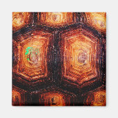 Aimant Tortois (Devant)