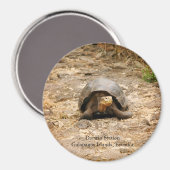 Aimant Tortoise des Galapagos (Recto/Verso)