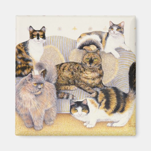 Aimant Tortoiseshell dames (Devant)