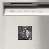 Aimant Tortoiseshell Kitten (In Situ (Lave-vaisselle))