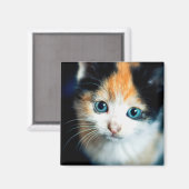Aimant Tortoiseshell kitten (Recto/Verso)