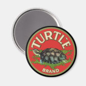 Aimant Tortue (Recto/Verso)