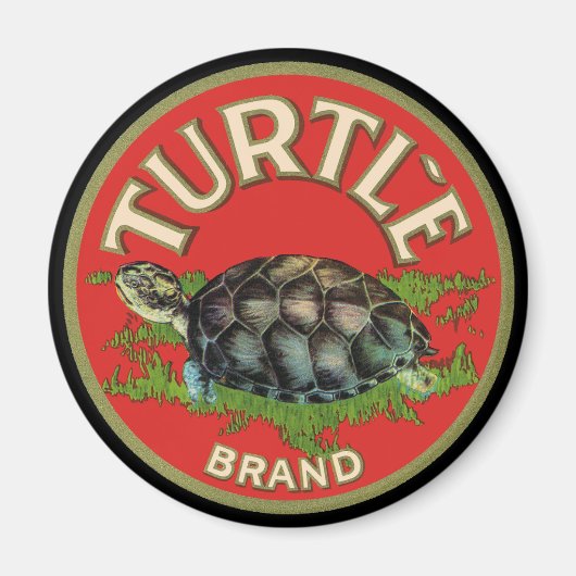 Aimant Tortue (Devant)