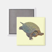 Aimant Tortue commune - Chelydra serpentina (Recto/Verso)