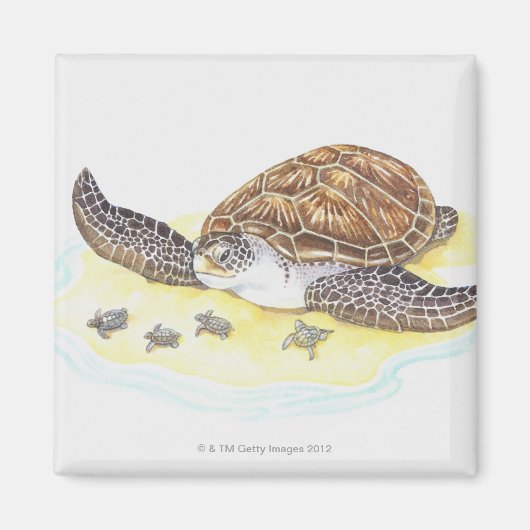 Aimant Tortue de mer et bébés (Devant)