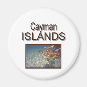 Aimant Tortue des Îles Caïman