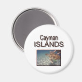 Aimant Tortue des îles Caïmans (Recto/Verso)