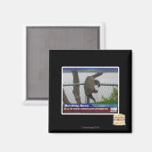 Aimant Tortue en voie de disparition (Recto/Verso)