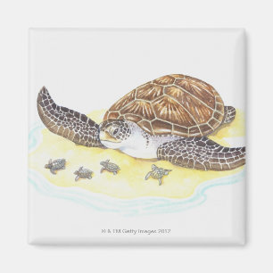Aimant Tortue et bébés de mer