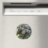 Aimant Tortue mignonne (In Situ (Lave-vaisselle))