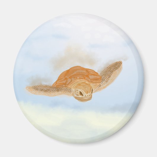 Aimant Tortue sous l'eau. (Devant)