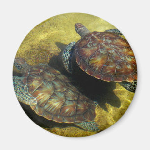 Aimant Tortues de mer
