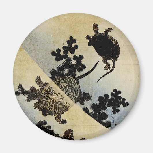 Aimant Tortues de natation (Devant)