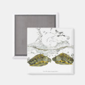 Aimant Tortues rouges (Recto/Verso)