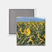 Aimant Toscane, Italie (Recto/Verso)