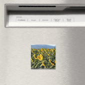 Aimant Toscane, Italie (In Situ (Lave-vaisselle))