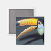 Aimant Toucan (Recto/Verso)