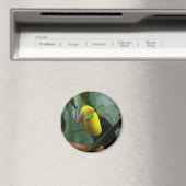 Aimant Toucan (In Situ (Lave-vaisselle))