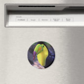 aimant Toucan 1 (In Situ (Lave-vaisselle))