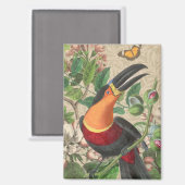 Aimant Toucan Jungle Tropical Bird Belle antique (Recto/Verso)
