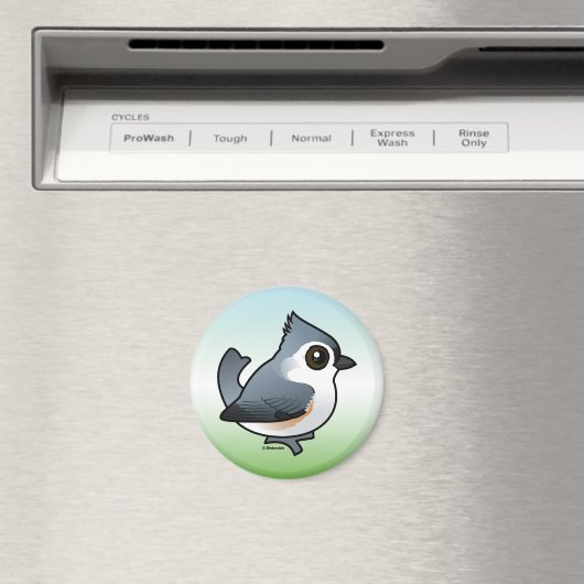 Aimant Touffé (In Situ (Lave-vaisselle))