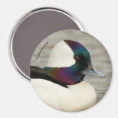 Aimant Toujours habillé pour impressionner : Une tête de (Recto/Verso)