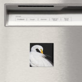 Aimant Toujours les aigrettes (In Situ (Lave-vaisselle))