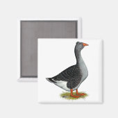 Aimant Toulouse Goose (Recto/Verso)