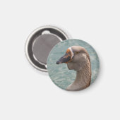 Aimant Toulouse Goose (Recto/Verso)