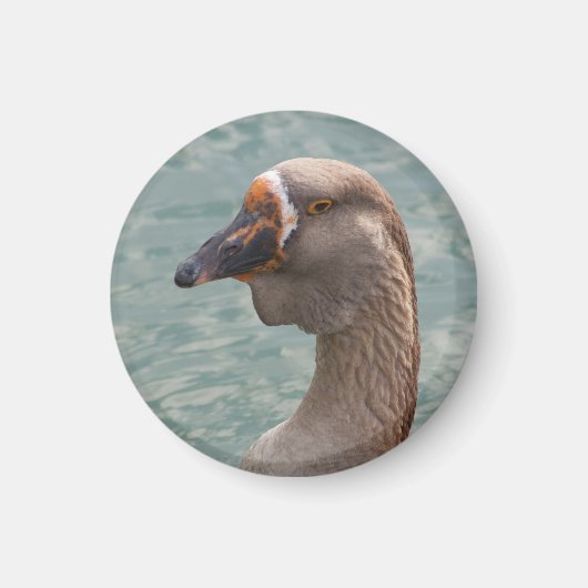 Aimant Toulouse Goose (Devant)