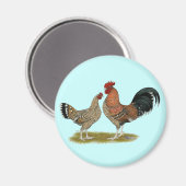 Aimant Tournaisis Bantams (Recto/Verso)