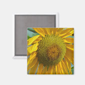 Aimant Tournée d'été (Recto/Verso)