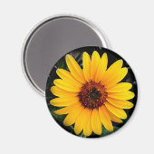 Aimant Tournesol (Recto/Verso)