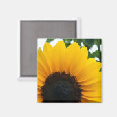Aimant Tournesol (Recto/Verso)