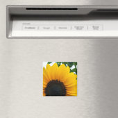 Aimant Tournesol (In Situ (Lave-vaisselle))