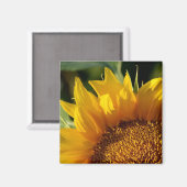 Aimant Tournesol (Recto/Verso)