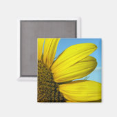 Aimant Tournesol (Recto/Verso)