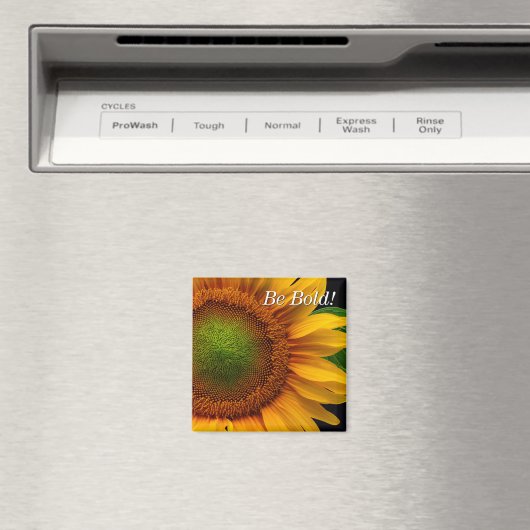 Aimant Tournesol (In Situ (Lave-vaisselle))